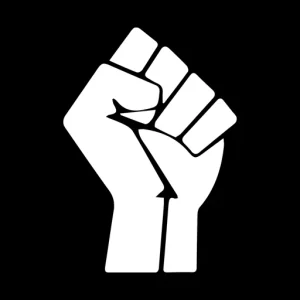 Black Voters Matter