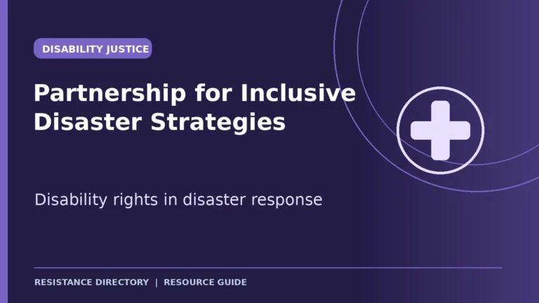 partnership for inclusive disaster strategies 1 768x432