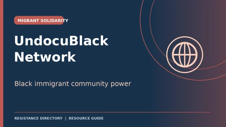 undocublack network 1 768x432